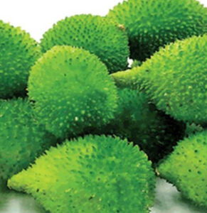 Kakora full of medicinal properties